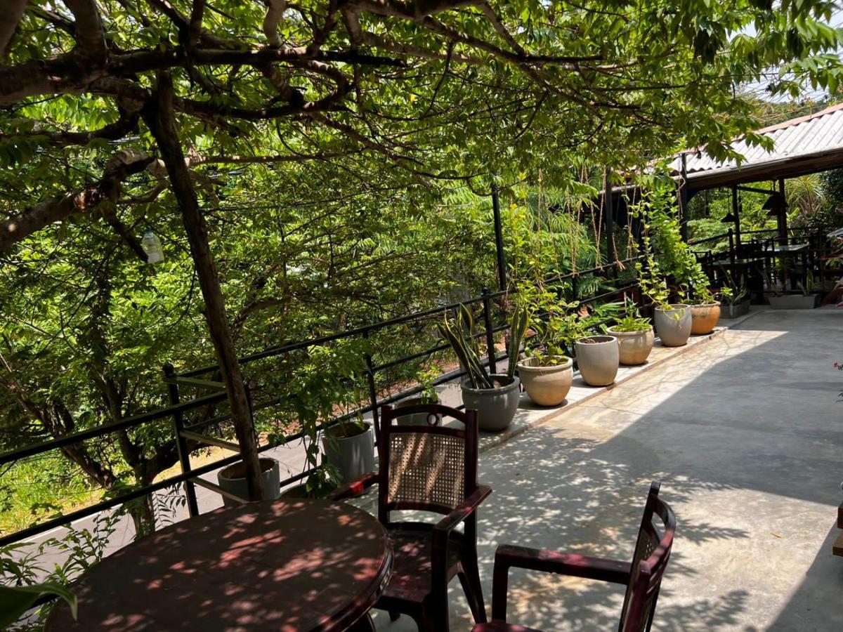 סיגירייה The Traveller'S Hostel & Private Rooms מראה חיצוני תמונה
