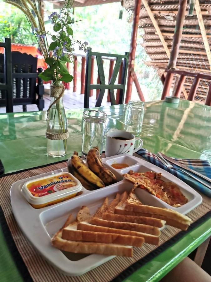סיגירייה The Traveller'S Hostel & Private Rooms מראה חיצוני תמונה